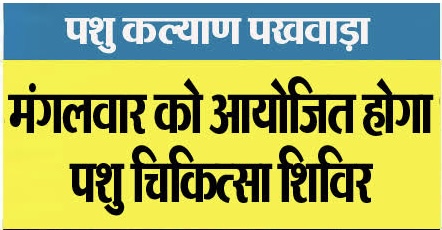 पशु कल्याण पखवाड़ा:- मुकाम में आज आयोजित होगा पशुचिकित्सा शिविर