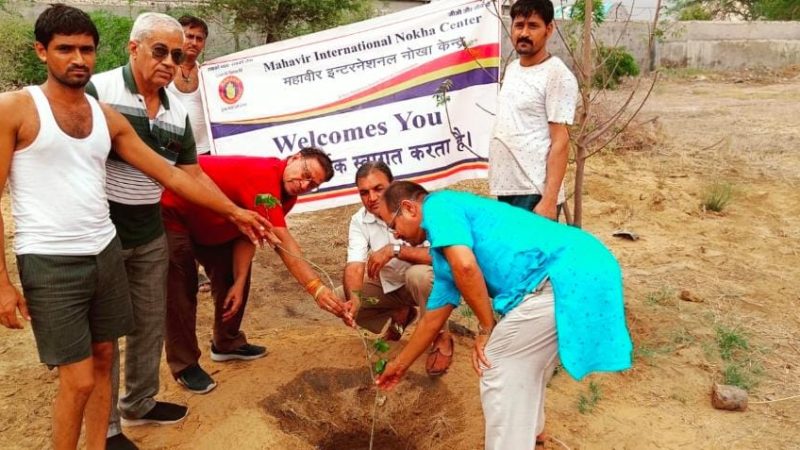 नोखा में महावीर इंटनेशनल ने किया पौधारोपणः 70 पौधे लगाकर किया संरक्षण का संकल्प, पर्यावरण संरक्षण का दिया संदेश