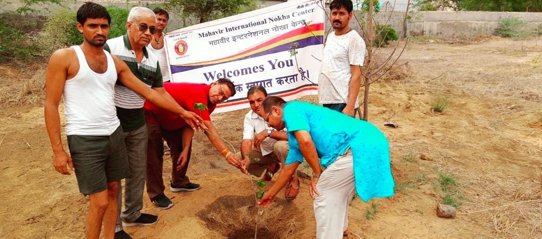 नोखा में महावीर इंटनेशनल ने किया पौधारोपणः 70 पौधे लगाकर किया संरक्षण का संकल्प, पर्यावरण संरक्षण का दिया संदेश