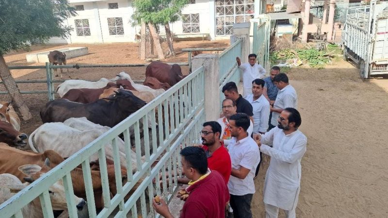 पीएम मोदी के जन्मदिन पर ‘सेवा पखवाड़े’ की शुरुआत: गायों को गुड़ देकर की शुरुआत; रक्तदान, वृक्षारोपण व स्वच्छता कार्यक्रम होंगे आयोजित