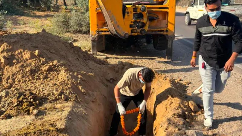 नोखा में निराश्रित 2 गोवंश का किया अंतिम संस्कारः एक्सीडेंट में हो गई थी मौत, जेसीबी की मदद से दफनाया