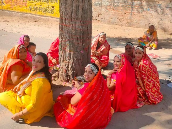 नोखा में महिलाओं ने आज आस चौथ का व्रत रखा: खेजड़ी की पूजा करके अपने पति की लंबी उम्र की कामना की