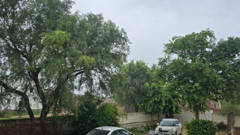 नोखा मौसम अपडेट: रातभर रिमझिम बरसात से भीगा नोखा, कस्बे में हल्की बूंदाबांदी जारी, गांवों में अच्छी बारिश की उम्मीद