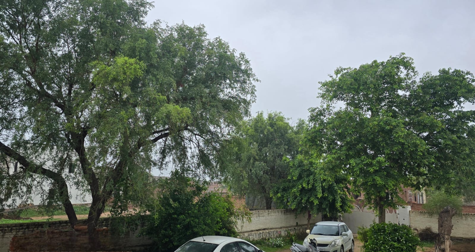 नोखा मौसम अपडेट: रातभर रिमझिम बरसात से भीगा नोखा, कस्बे में हल्की बूंदाबांदी जारी, गांवों में अच्छी बारिश की उम्मीद