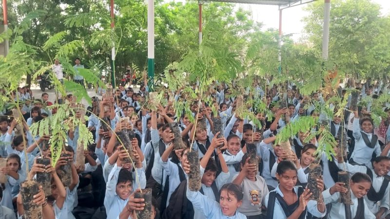 नोखा में हरियाली अमावस्या पर स्कूली बच्चों को बांटे पौधे: तीन सरकारी स्कूलों में 1100 पौधों का वितरण, एक विद्यार्थी-एक पेड़ योजना के तहत कार्यक्रम