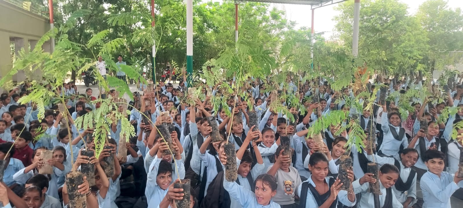 नोखा में हरियाली अमावस्या पर स्कूली बच्चों को बांटे पौधे: तीन सरकारी स्कूलों में 1100 पौधों का वितरण, एक विद्यार्थी-एक पेड़ योजना के तहत कार्यक्रम