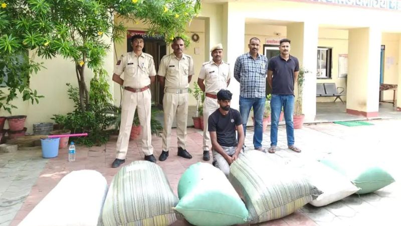 नोखा में अवैध मादक पदार्थों के खिलाफ कार्रवाई: 106 किलो डोडा पोस्त सहित आरोपी को किया गिरफ्तार, कार भी जब्त