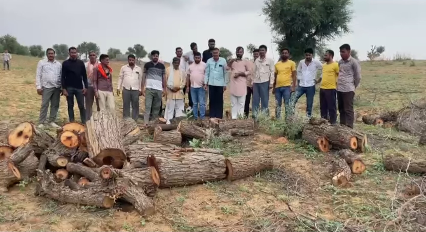 नोखा में काटे खेजड़ी के पेड़: ग्रामीणों ने पिकअप रोकी, कुकणिया गांव में सोलर प्लांट की आड़ में अवैध कटाई